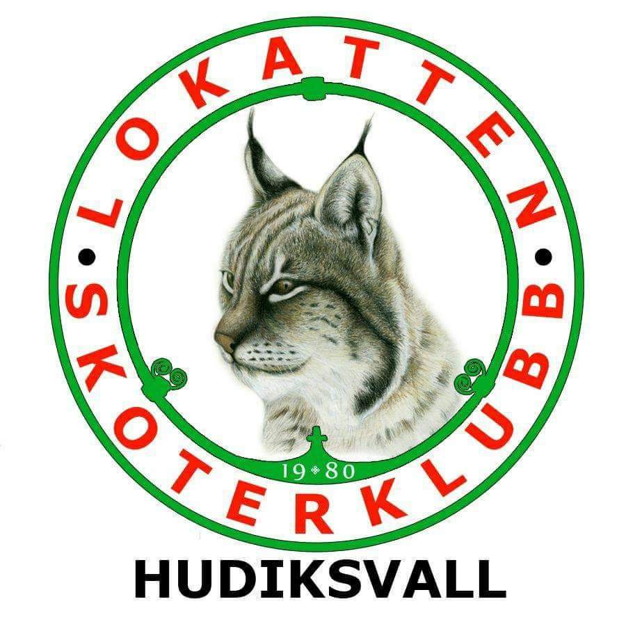        Lokatten Skoterklubb
